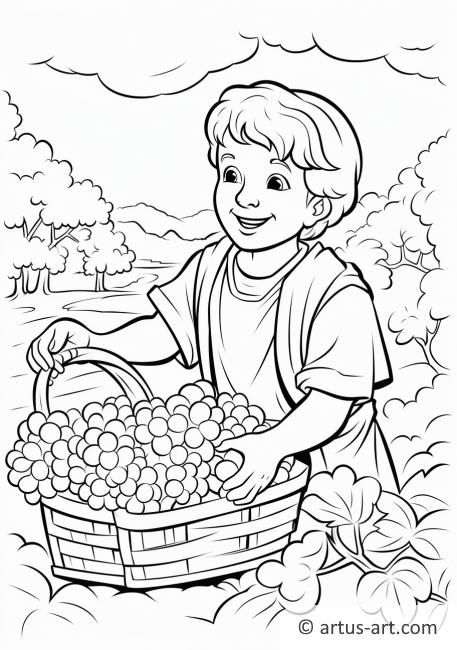Pagina da colorare del raccolto dell'uva