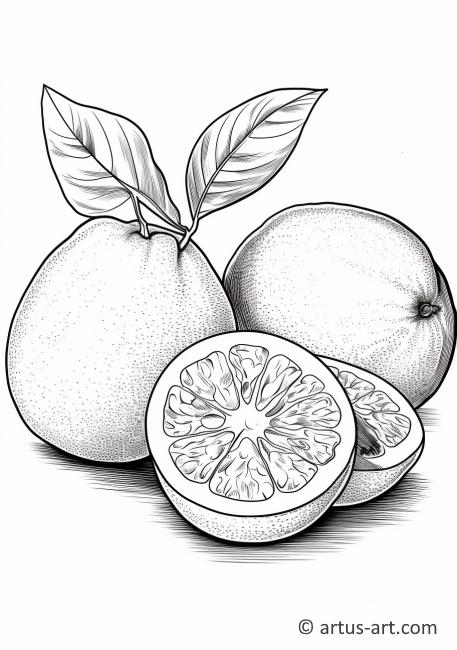 Stránka k vybarvení grepfruitu