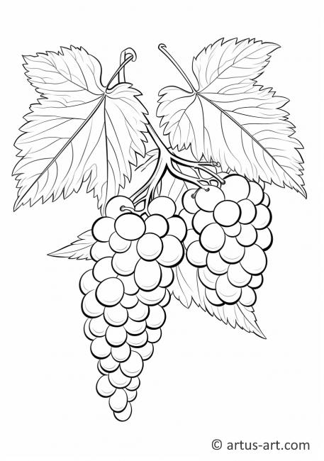 Grapes Coloring Page Coloring Page