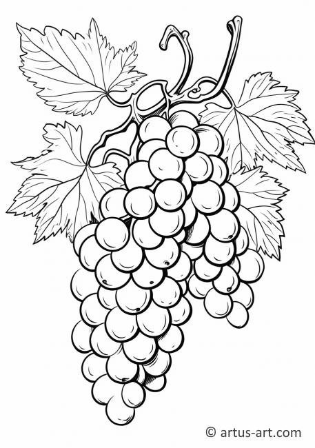 Página para colorear de contorno de uvas
