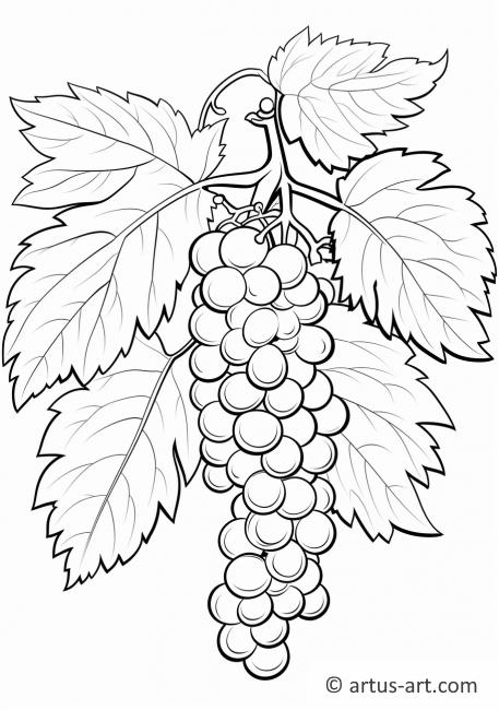 Grapes and Leaves Coloring Page