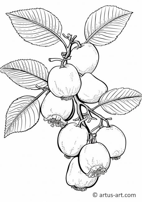 Guava a faágán Színezőlap
