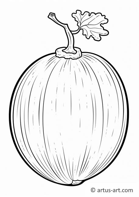 Honeydew Melon Coloring Page