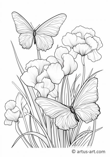 Iris met vlinders Kleurplaat