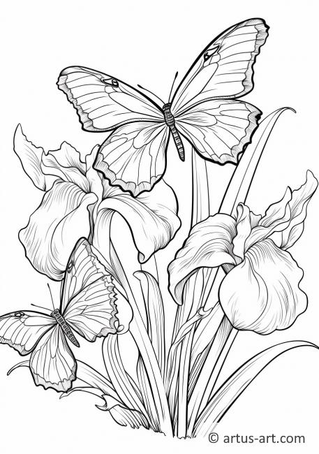 Pagina de colorat cu Iris și fluturi