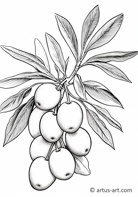 Kreslení stránka s plody kumkvatu