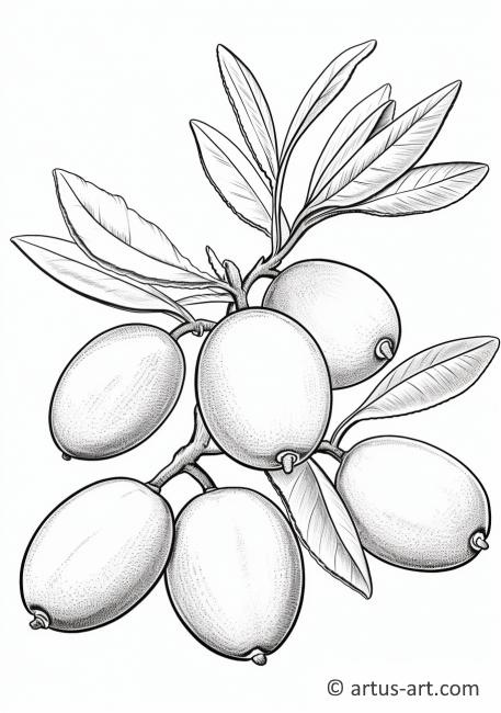 Kreslení stránka s ovocem kumquat