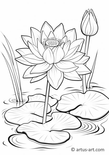 Lotusblomst i en dam Fargeleggingsside
