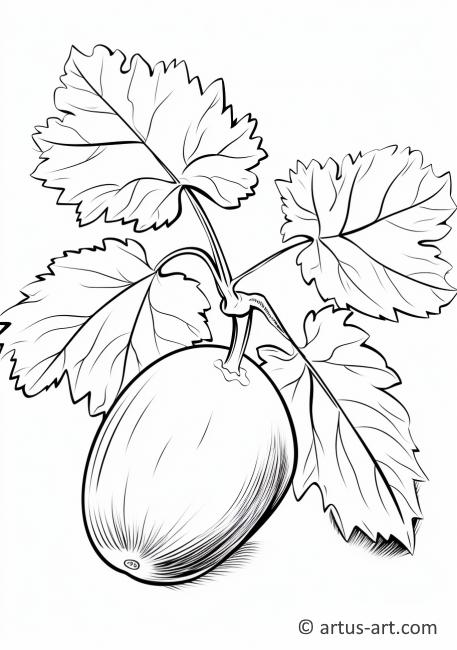 Melon with Leaves Coloring Page