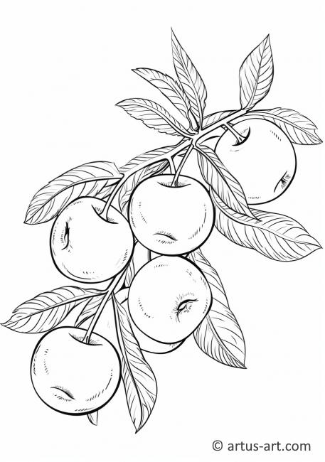 Nectarine Coloring Page