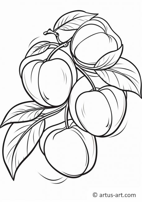 Nectarine Coloring Page