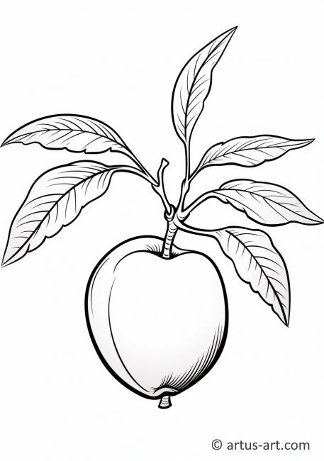 Soutěž o vybarvení broskvového ovoce - Vybarvovací stránka
