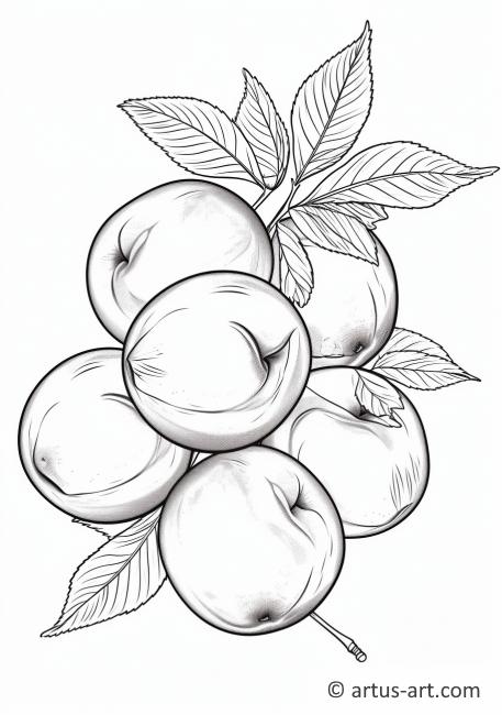 Nectarine Still Life Coloring Page