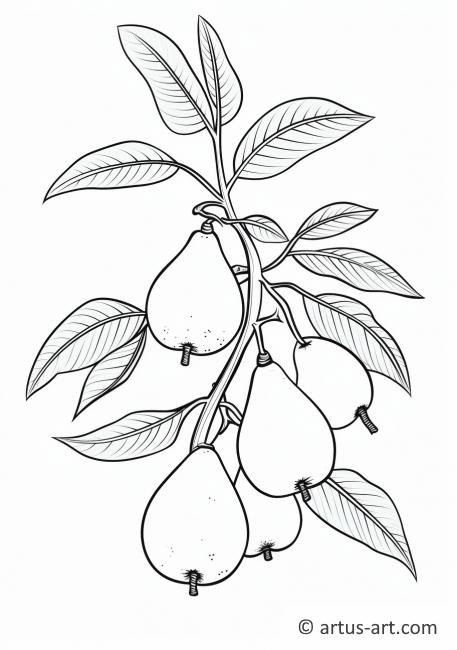 Page de coloriage de branche de poire