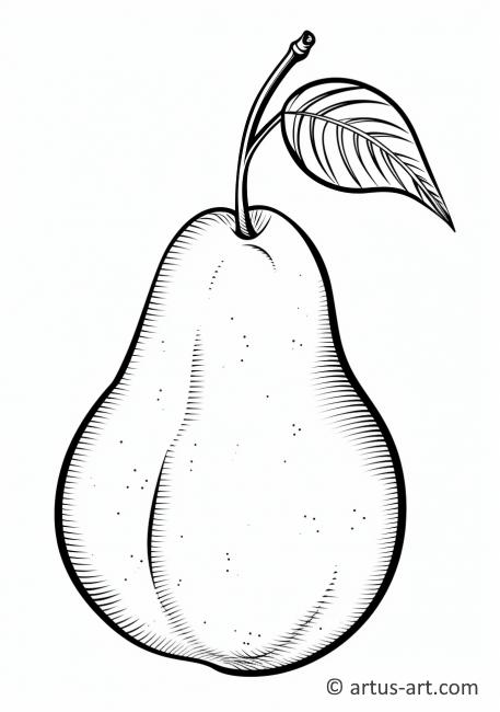 Päärynän värityskuva