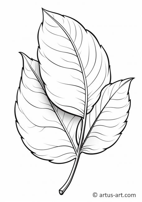 Pagină de colorat cu frunze de caisă căzute