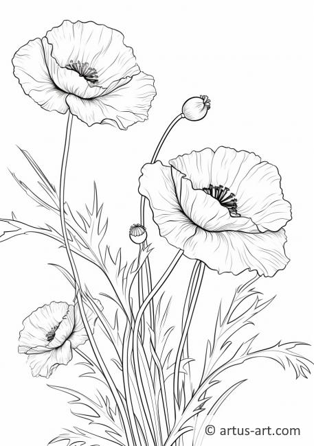 Poppy in a Meadow Coloring Page