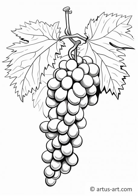 Realistic Grapes Coloring Page Coloring Page