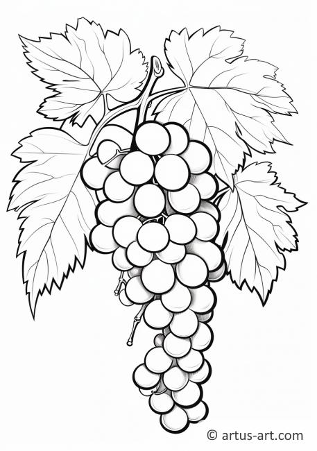 Realistic Grapes Coloring Page