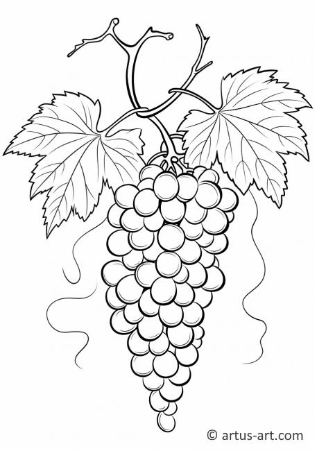 Kolorowanka z winogronami
