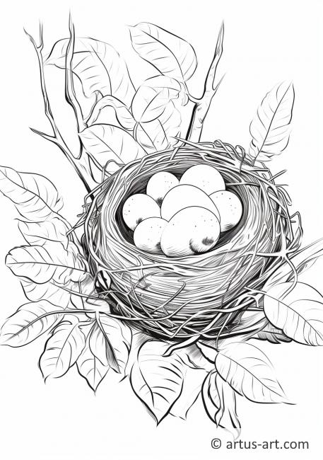 Раскраска тропической птичьей гнезды в дереве
