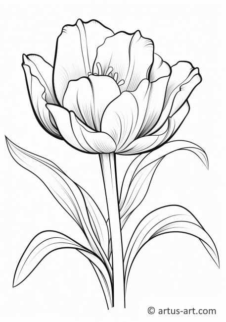 Kolorowanka z tulipanem w pełnym rozkwicie